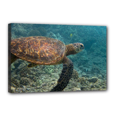 Sea Turtle 3 Canvas 18  X 12  by trendistuff