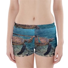 Sea Turtle 3 Boyleg Bikini Wrap Bottoms by trendistuff