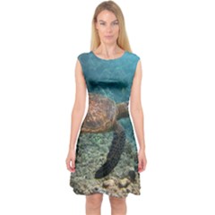 Sea Turtle 3 Capsleeve Midi Dress by trendistuff