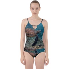 Sea Turtle 3 Cut Out Top Tankini Set by trendistuff