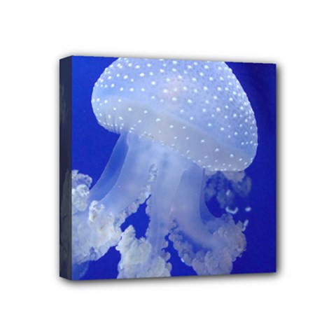 Spotted Jellyfish Mini Canvas 4  X 4  by trendistuff