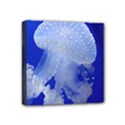 SPOTTED JELLYFISH Mini Canvas 4  x 4  View1