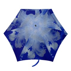 Spotted Jellyfish Mini Folding Umbrellas by trendistuff