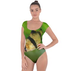 Tiger Barb Short Sleeve Leotard  by trendistuff