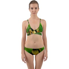 Tiger Barb Wrap Around Bikini Set by trendistuff