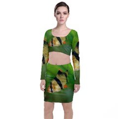 Tiger Barb Long Sleeve Crop Top & Bodycon Skirt Set by trendistuff