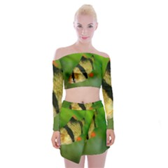 Tiger Barb Off Shoulder Top With Mini Skirt Set by trendistuff