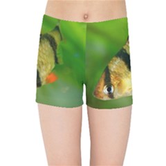 Tiger Barb Kids Sports Shorts by trendistuff