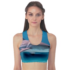 Tiger Shark 1 Sports Bra by trendistuff