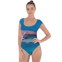 Tiger Shark 1 Short Sleeve Leotard  by trendistuff