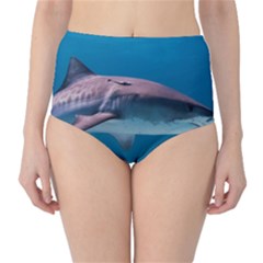 Tiger Shark 1 High-waist Bikini Bottoms by trendistuff