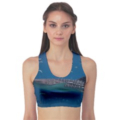 Whale Shark 1 Sports Bra by trendistuff