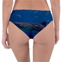 WHALE SHARK 1 Reversible Classic Bikini Bottoms View2