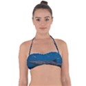 WHALE SHARK 1 Halter Bandeau Bikini Top View1