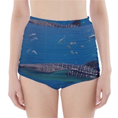 Whale Shark 1 High-waisted Bikini Bottoms by trendistuff