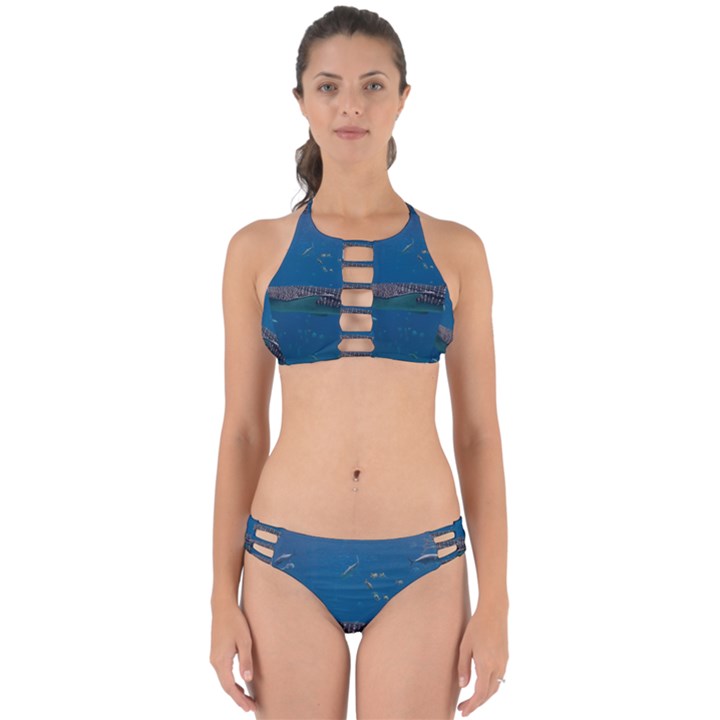 WHALE SHARK 1 Perfectly Cut Out Bikini Set