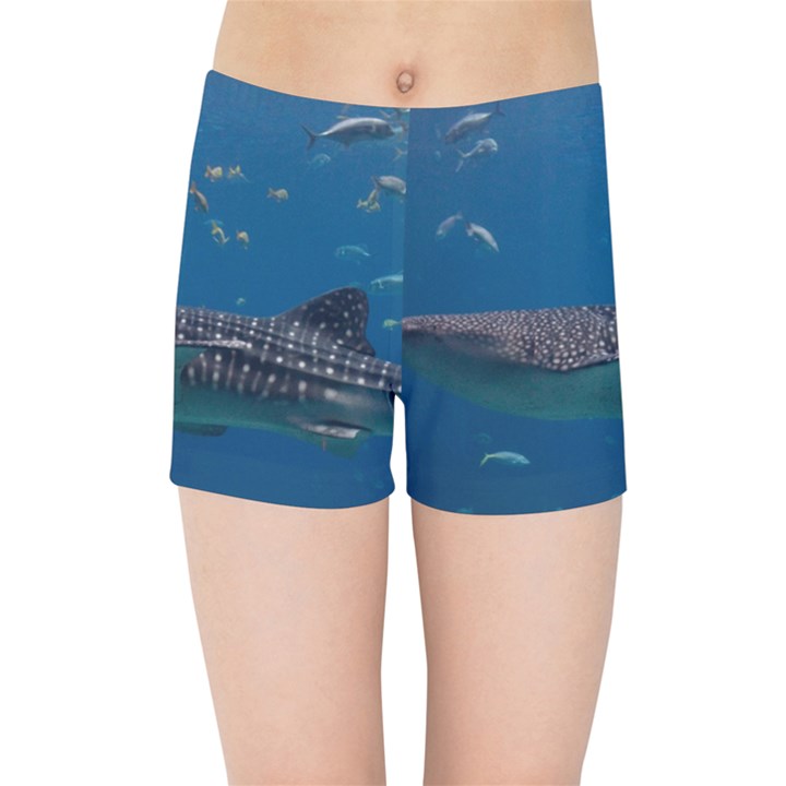 WHALE SHARK 1 Kids Sports Shorts