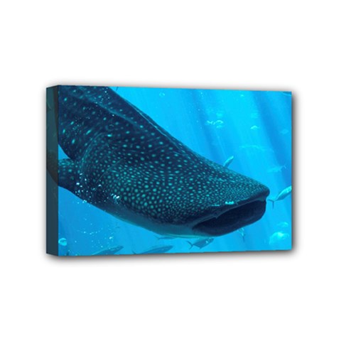 Whale Shark 2 Mini Canvas 6  X 4  by trendistuff