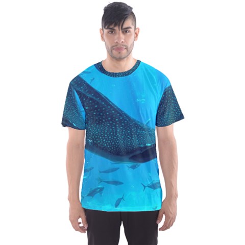 Whale Shark 2 Men s Sports Mesh Tee by trendistuff