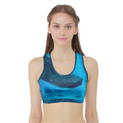 Whale Shark 2 Sports Bra With Border by trendistuff