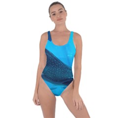 Whale Shark 2 Bring Sexy Back Swimsuit by trendistuff