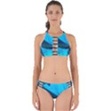 WHALE SHARK 2 Perfectly Cut Out Bikini Set View1