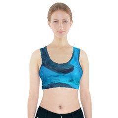 Whale Shark 2 Sports Bra With Pocket by trendistuff