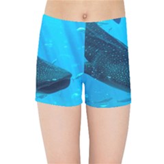 Whale Shark 2 Kids Sports Shorts by trendistuff