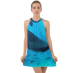 Whale Shark 2 Halter Tie Back Chiffon Dress by trendistuff