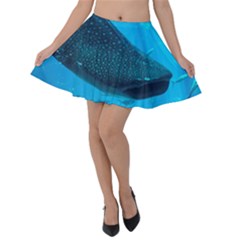 Whale Shark 2 Velvet Skater Skirt by trendistuff