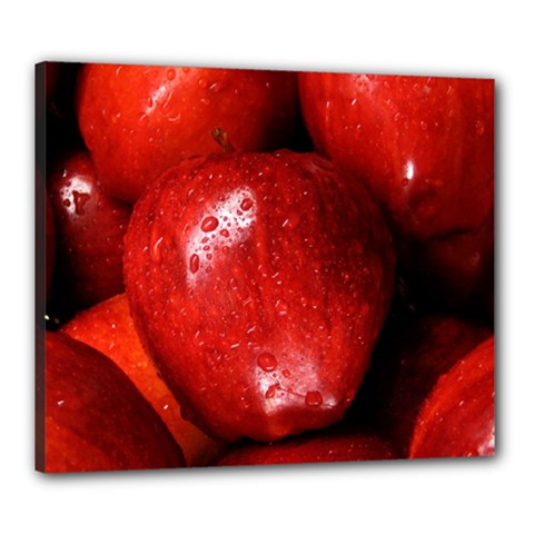 Apples 1 Canvas 24  X 20  by trendistuff