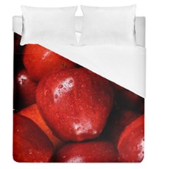 Apples 1 Duvet Cover (queen Size) by trendistuff