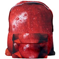 Apples 1 Giant Full Print Backpack by trendistuff