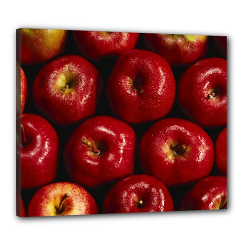 Apples 2 Canvas 24  X 20  by trendistuff