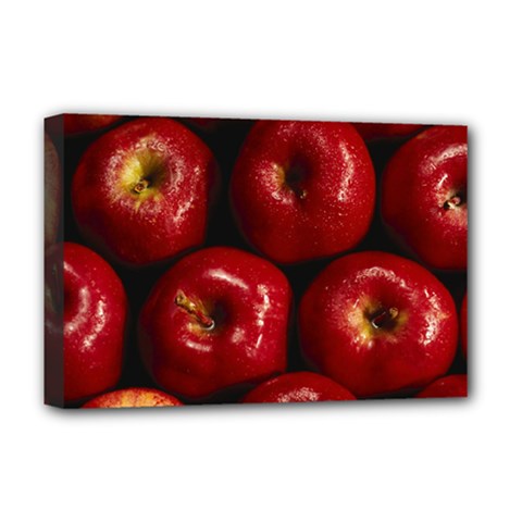 Apples 2 Deluxe Canvas 18  X 12   by trendistuff