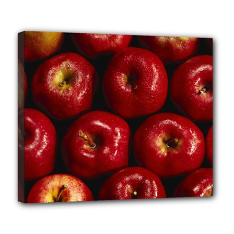 Apples 2 Deluxe Canvas 24  X 20   by trendistuff