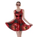 APPLES 2 Skater Dress View1