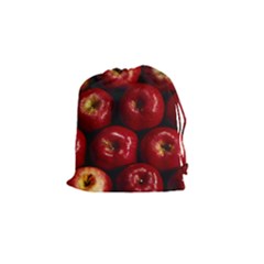 Apples 2 Drawstring Pouches (small)  by trendistuff