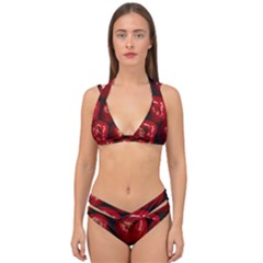 Apples 2 Double Strap Halter Bikini Set by trendistuff