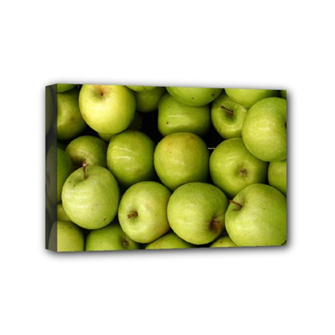 APPLES 3 Mini Canvas 6  x 4 