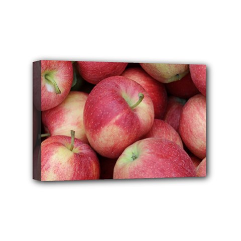 Apples 5 Mini Canvas 6  X 4  by trendistuff