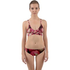 Apples 5 Wrap Around Bikini Set by trendistuff