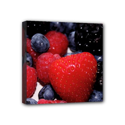 Berries 1 Mini Canvas 4  X 4  by trendistuff