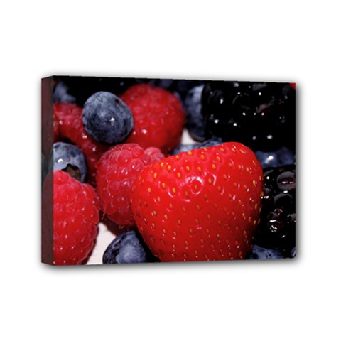 Berries 1 Mini Canvas 7  X 5  by trendistuff