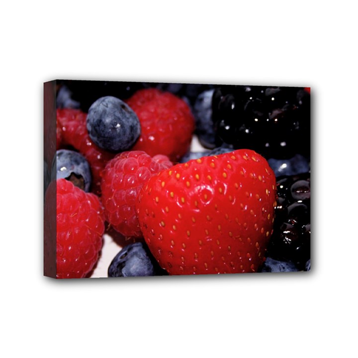 BERRIES 1 Mini Canvas 7  x 5 