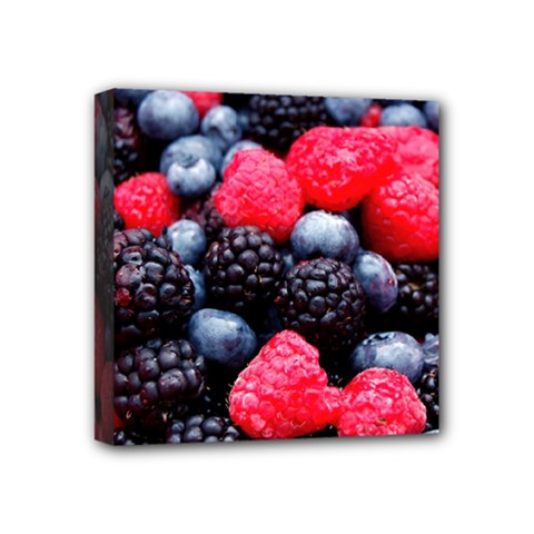 Berries 2 Mini Canvas 4  X 4  by trendistuff