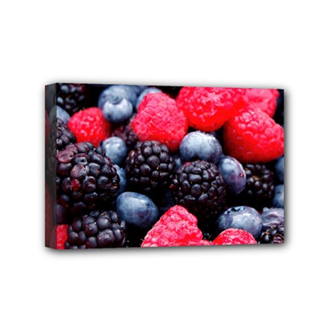 Berries 2 Mini Canvas 6  X 4  by trendistuff