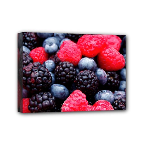 Berries 2 Mini Canvas 7  X 5  by trendistuff