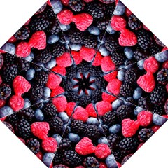 Berries 2 Folding Umbrellas by trendistuff