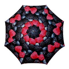 Berries 2 Golf Umbrellas by trendistuff